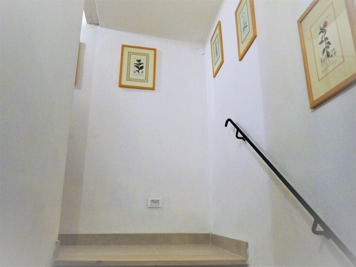 Casa Marzia Daire Montevarchi Dış mekan fotoğraf